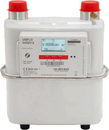 Flonidan Gas Smart Meter with two barcodes, a clear display, and three red buttons